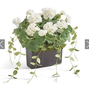 Geranium Window Box Fillers Grandin road brand new